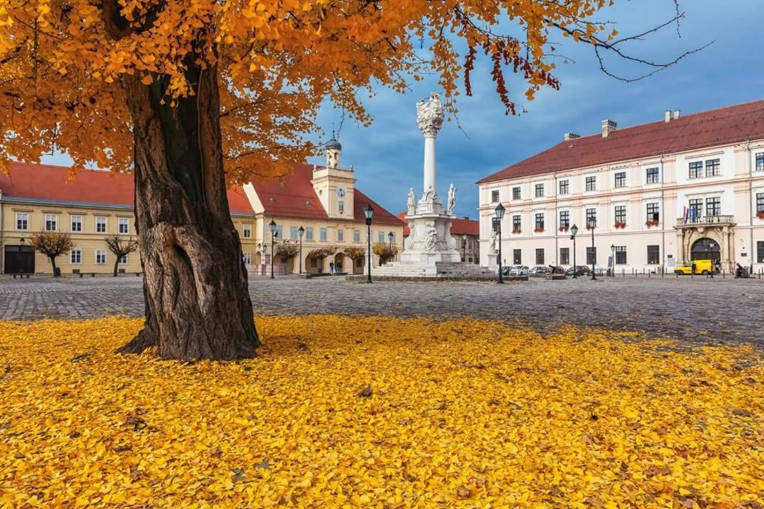 Apartman Aurelius - Private Parking Osijek Exterior foto